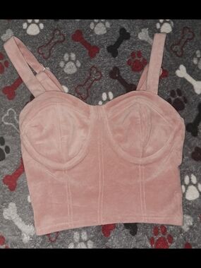 No Boundaries Blush Pink Velvet Bustier Crop Top